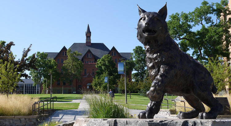 Champ in front of Montana Hall