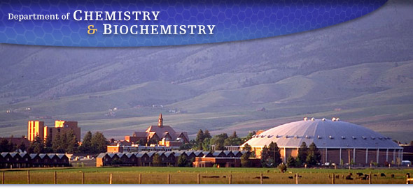 MSU Department of Chemistry and Biochemistry