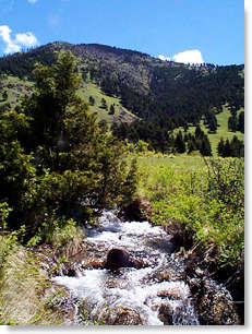 Montana Valley